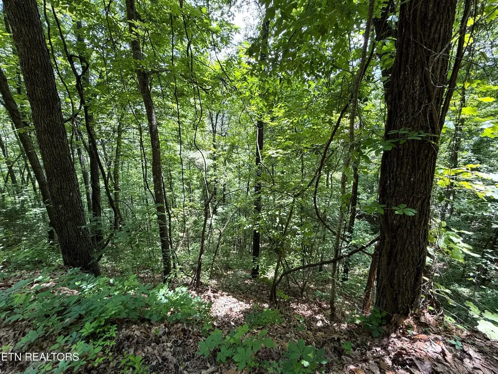 0 Aintree Drive Sevierville TN 37876
