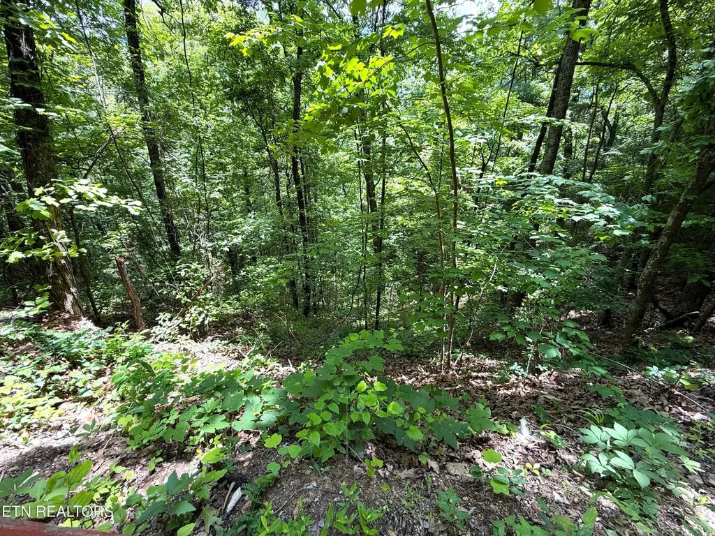 0 Aintree Drive Sevierville TN 37876