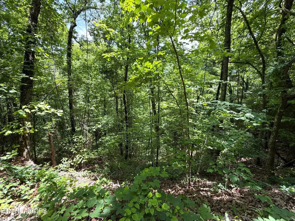 0 Aintree Drive Sevierville TN 37876