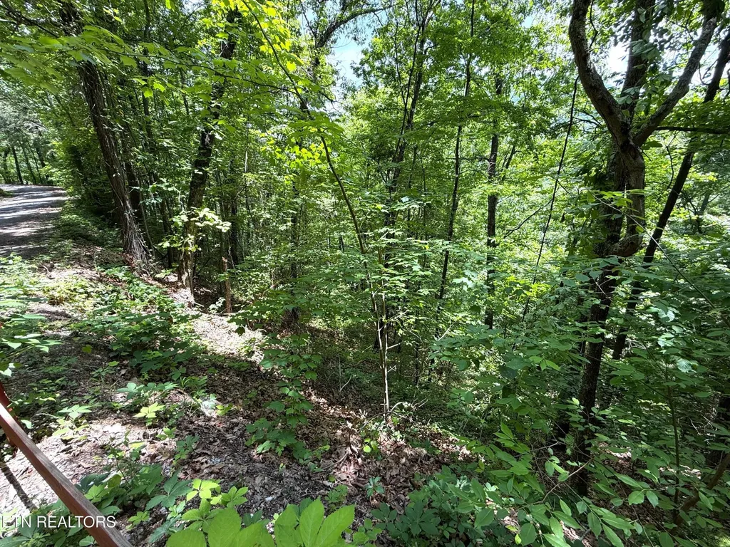 0 Aintree Drive Sevierville TN 37876