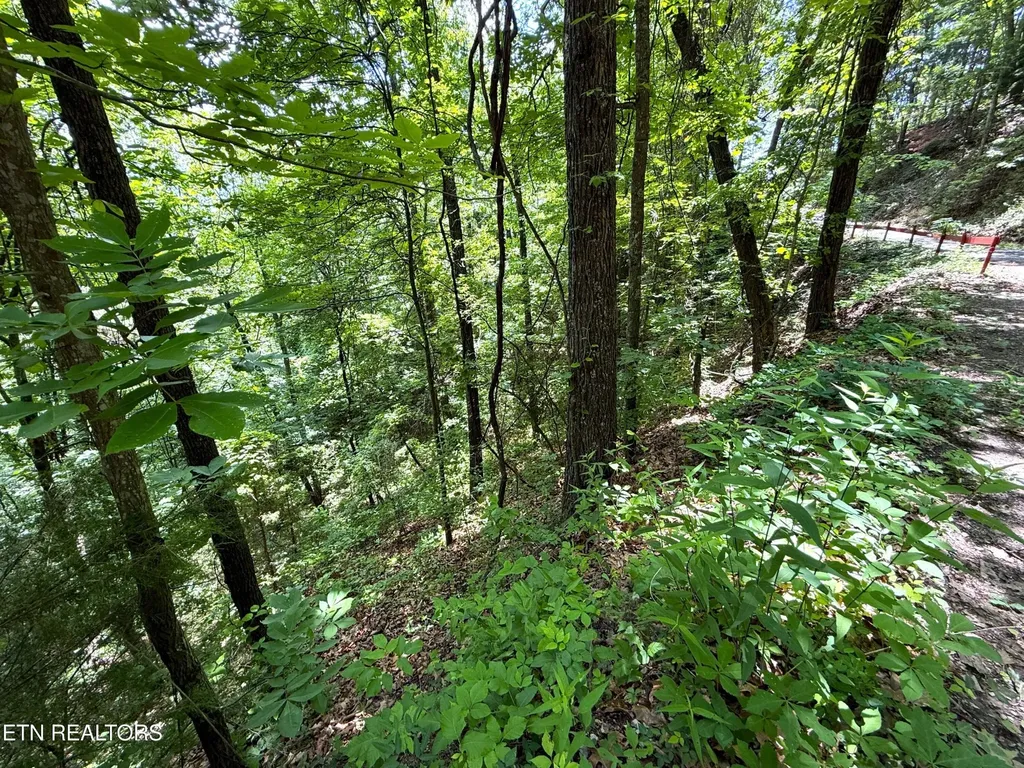 0 Aintree Drive Sevierville TN 37876