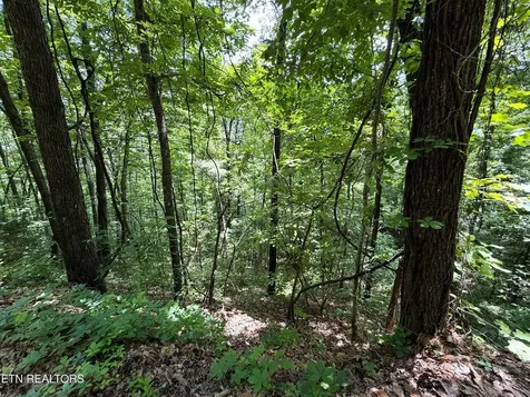 0 Aintree Drive Sevierville TN 37876