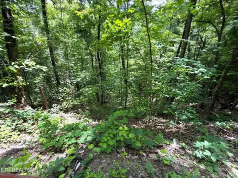 0 Aintree Drive Sevierville TN 37876