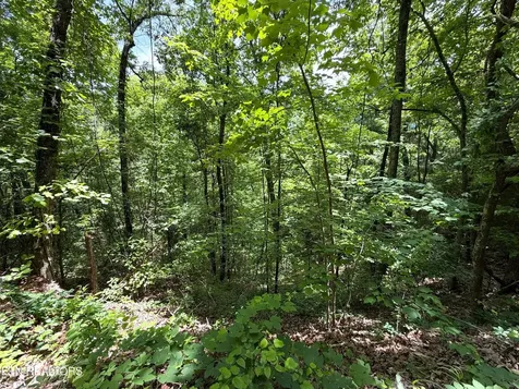 0 Aintree Drive Sevierville TN 37876
