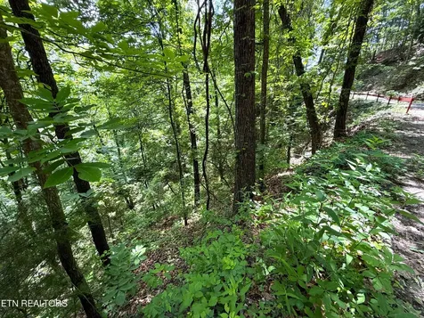 0 Aintree Drive Sevierville TN 37876
