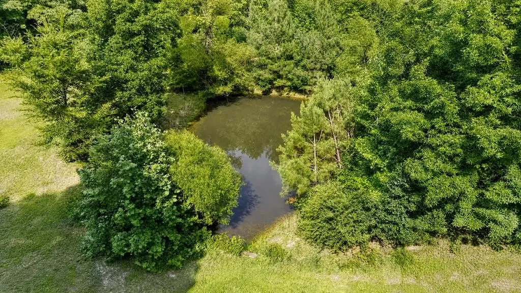 334 Wismer Road Camden TN 38320
