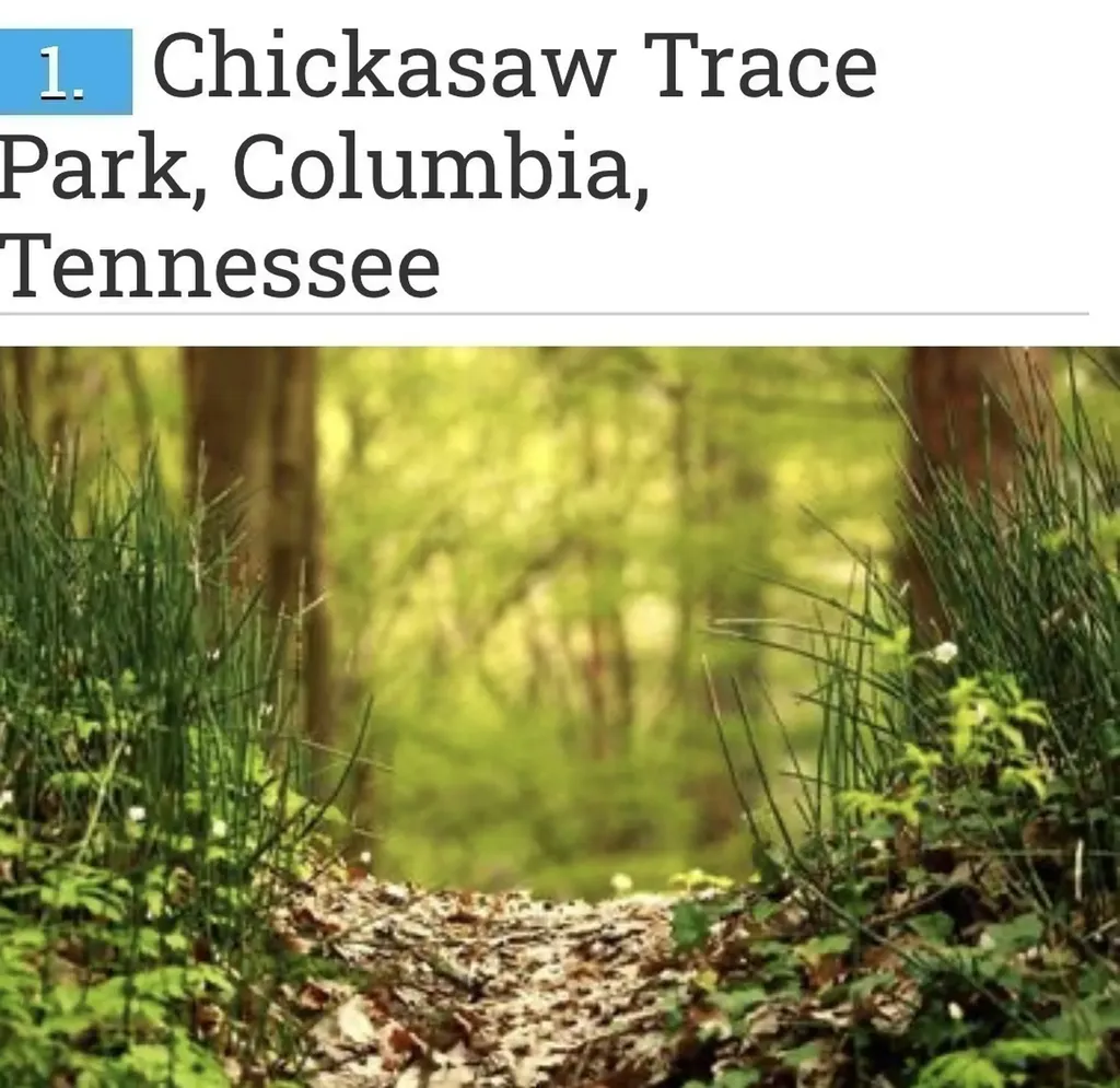 2319 Juneau Lane Columbia TN 38401