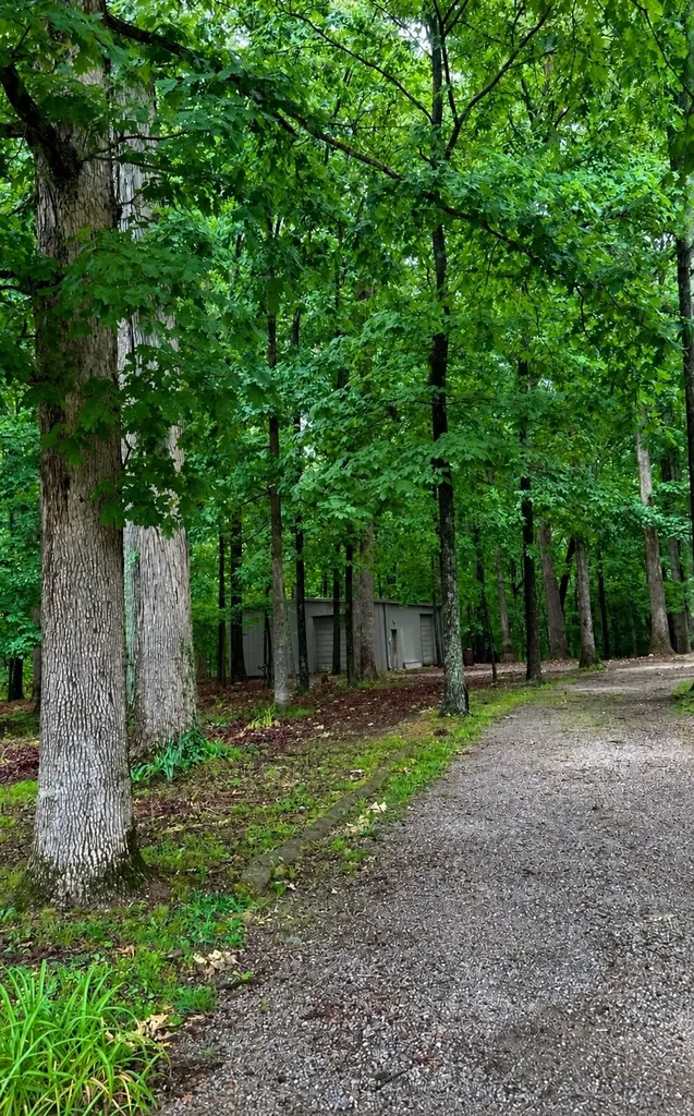7344 Bidwell Road Joelton TN 37080