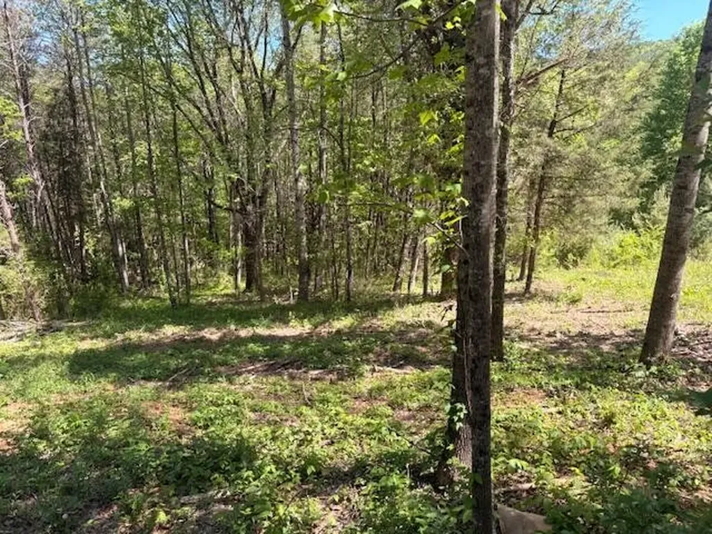 12 Bivens Court Niota TN 37826