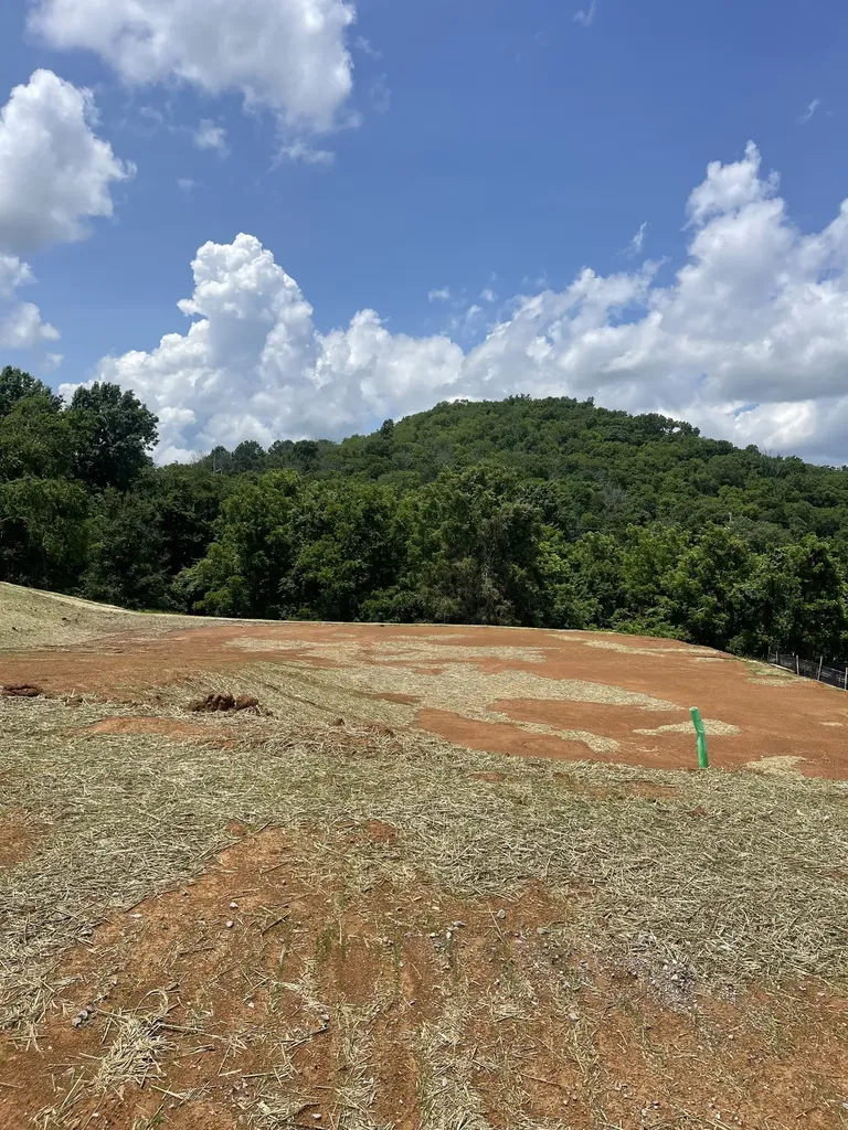 157 Berry Hunter Lane Franklin TN 37067