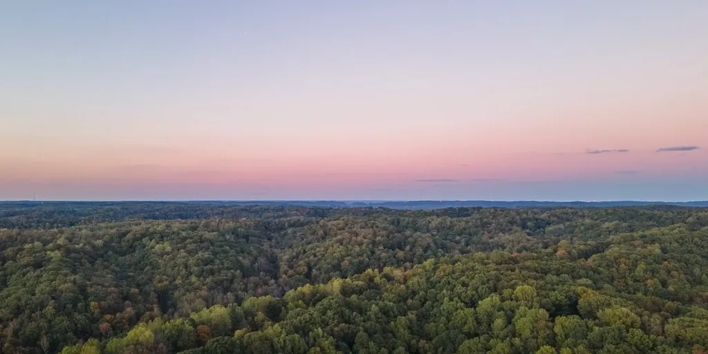 157 Berry Hunter Lane Franklin TN 37067