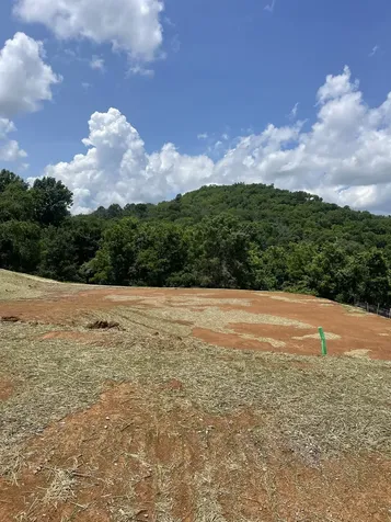 157 Berry Hunter Lane Franklin TN 37067