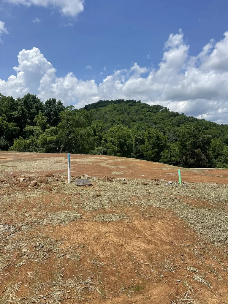 163 Berry Hunter Lane Franklin TN 37067