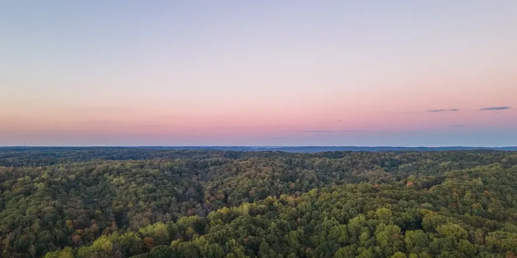 163 Berry Hunter Lane Franklin TN 37067