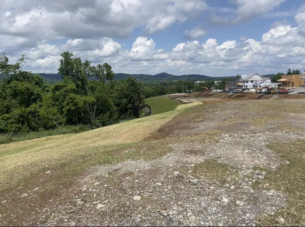 163 Berry Hunter Lane Franklin TN 37067