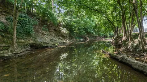 6355 Panorama Drive Brentwood TN 37027