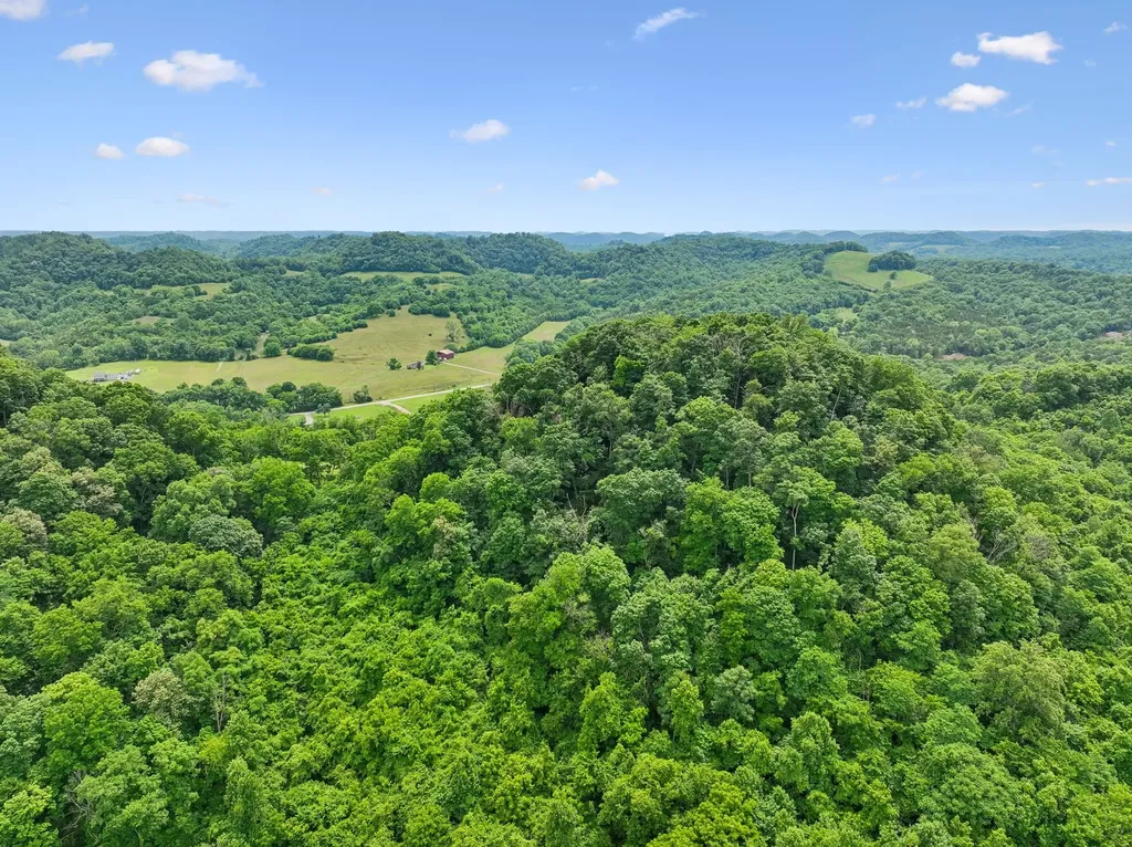 0 Little Salt Lick Creek Road Carthage TN 37030
