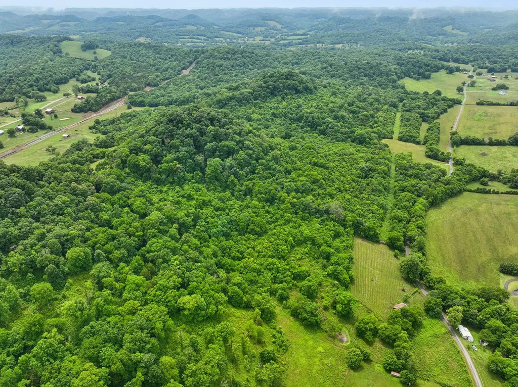 0 Little Salt Lick Creek Road Carthage TN 37030