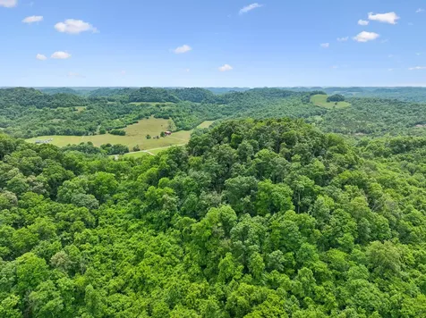 0 Little Salt Lick Creek Road Carthage TN 37030
