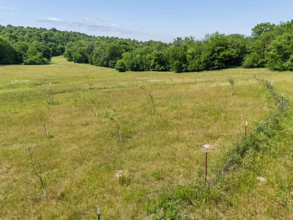 2063 Kennedy Creek Road Auburntown TN 37016