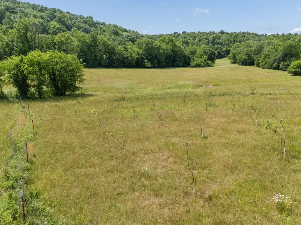 2063 Kennedy Creek Road Auburntown TN 37016