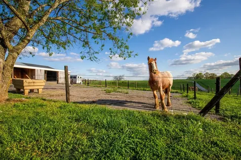 501 Burnt Hill Road Unionville TN 37180