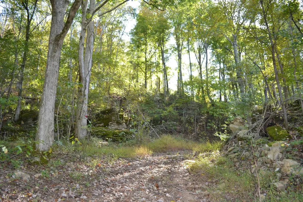 3316 Patton Branch Road Goodlettsville TN 37072
