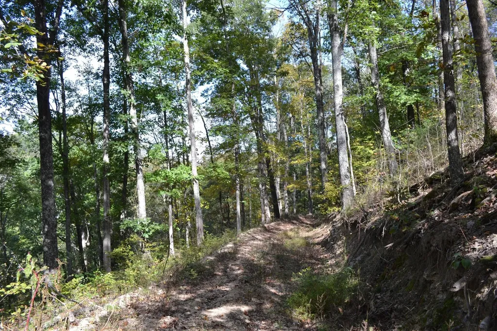 3316 Patton Branch Road Goodlettsville TN 37072