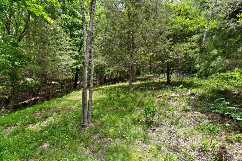 16211 Lakewood Drive Sale Creek TN 37373