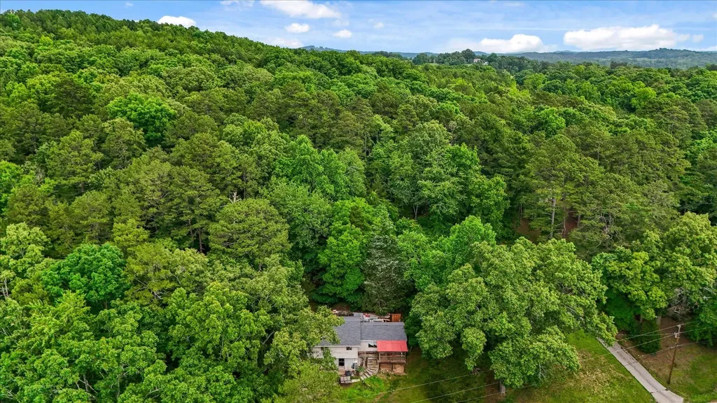 16211 Lakewood Drive Sale Creek TN 37373