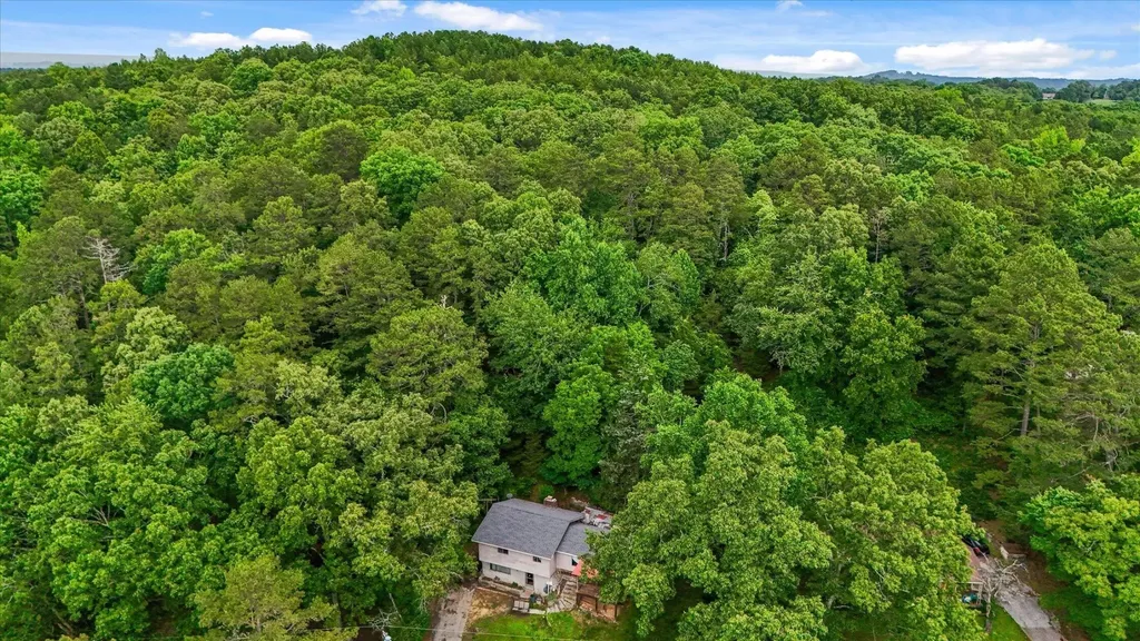 16211 Lakewood Drive Sale Creek TN 37373