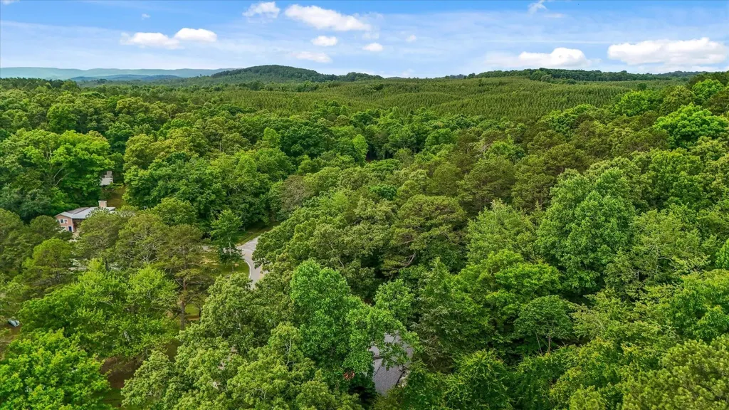 16211 Lakewood Drive Sale Creek TN 37373