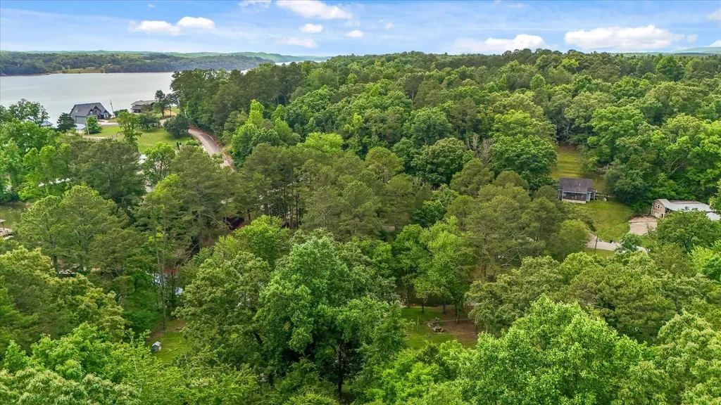 16211 Lakewood Drive Sale Creek TN 37373