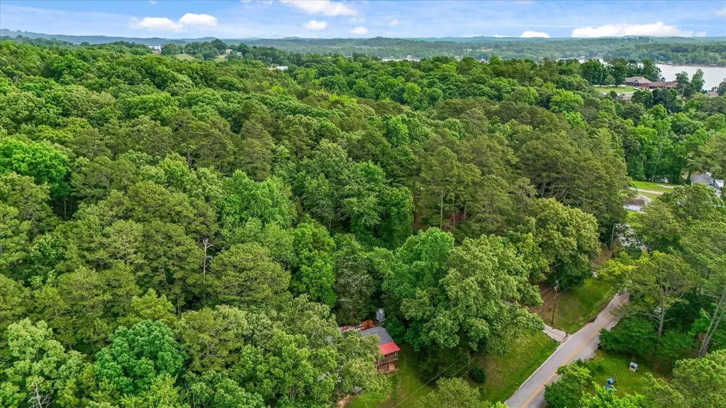 16211 Lakewood Drive Sale Creek TN 37373