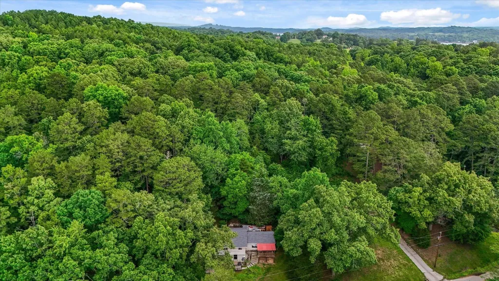 16211 Lakewood Drive Sale Creek TN 37373