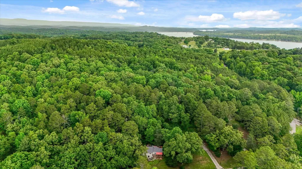 16211 Lakewood Drive Sale Creek TN 37373
