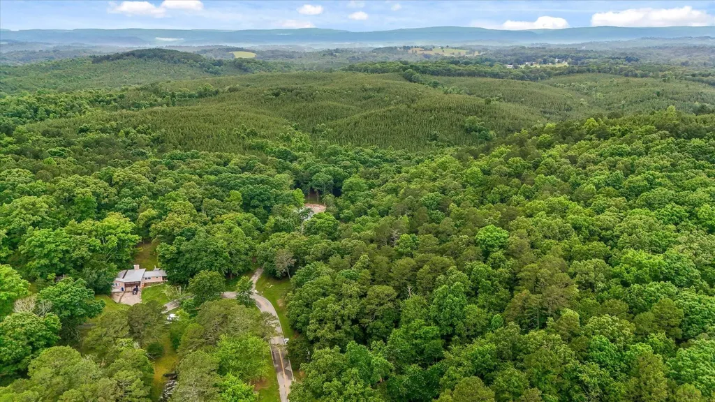 16211 Lakewood Drive Sale Creek TN 37373