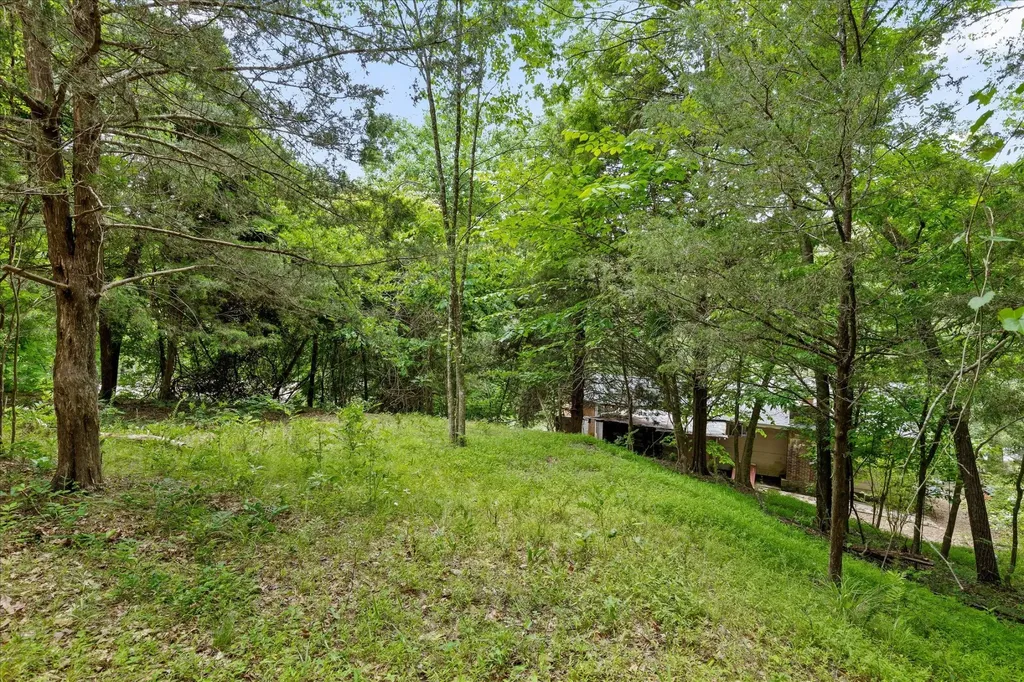 16211 Lakewood Drive Sale Creek TN 37373