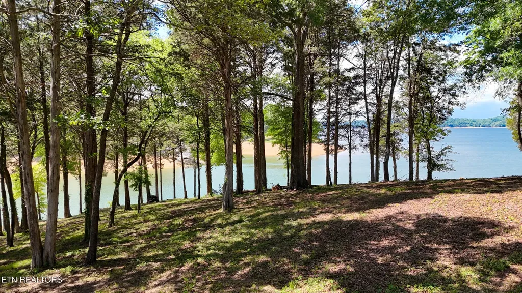 123 Ridge Point Trail Dandridge TN 37725