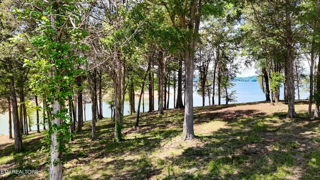 123 Ridge Point Trail Dandridge TN 37725