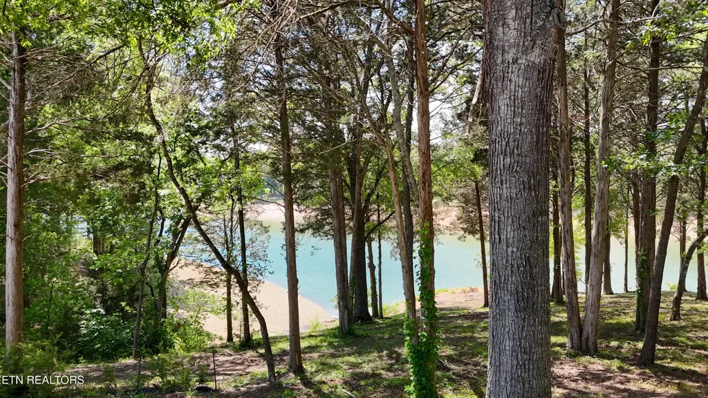 123 Ridge Point Trail Dandridge TN 37725