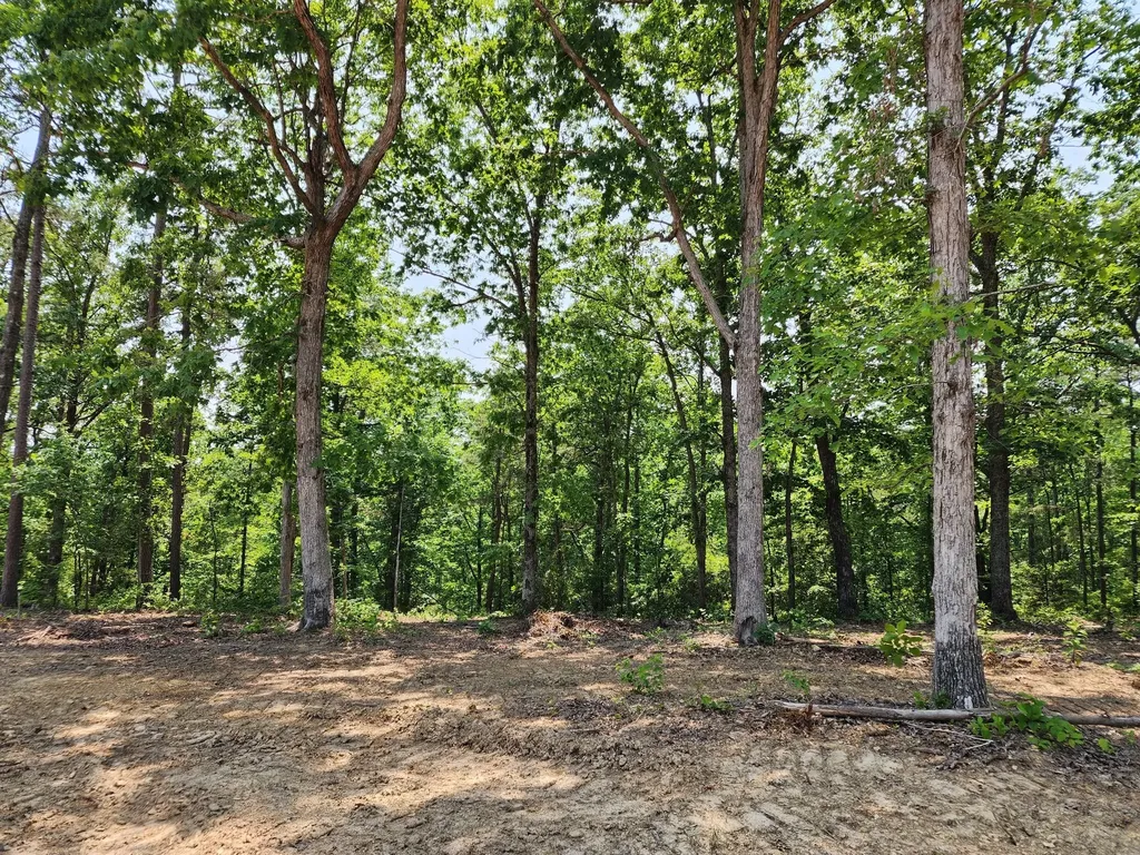 118 Bella Way Hohenwald TN 38462