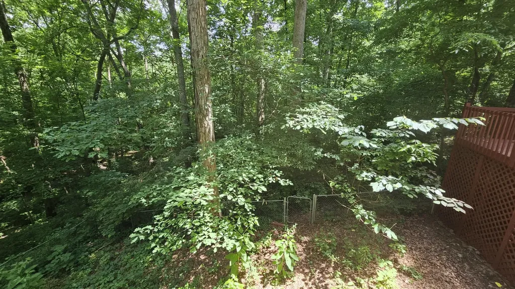 145 Low Brook Court, NE Cleveland TN 37312
