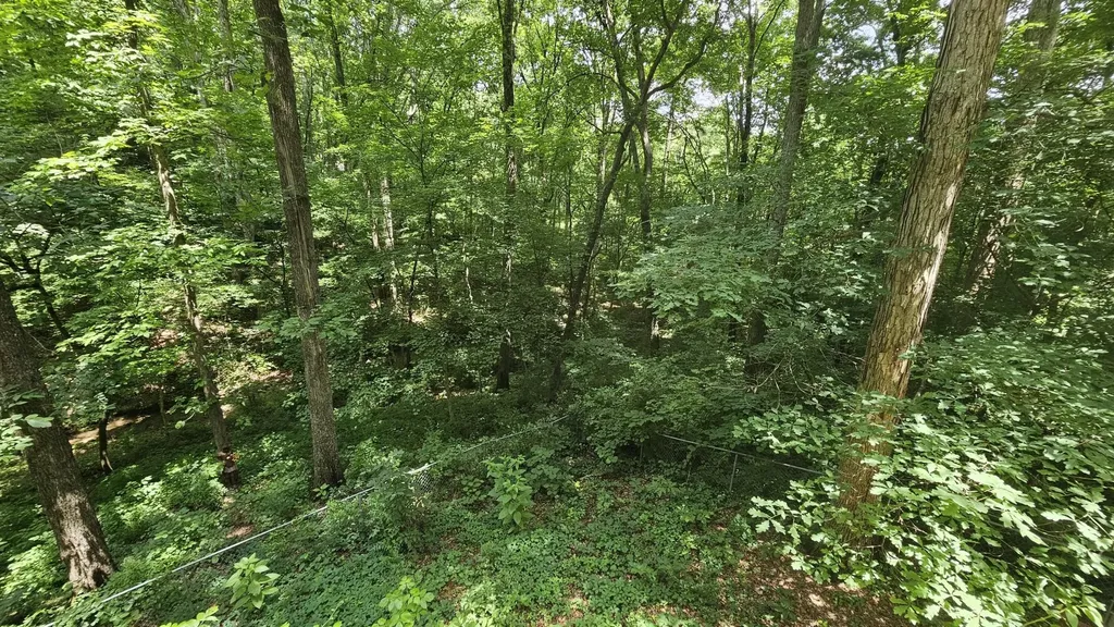 145 Low Brook Court, NE Cleveland TN 37312