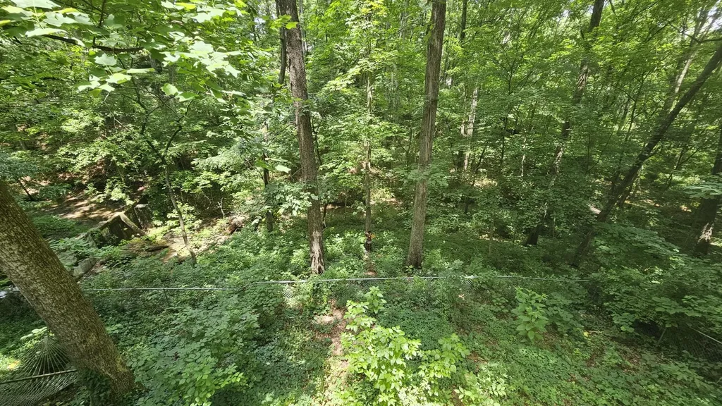 145 Low Brook Court, NE Cleveland TN 37312