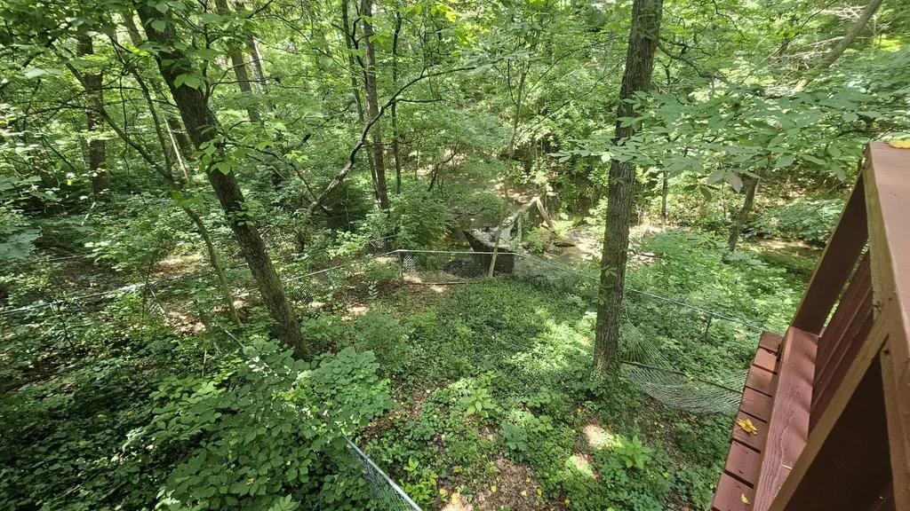 145 Low Brook Court, NE Cleveland TN 37312