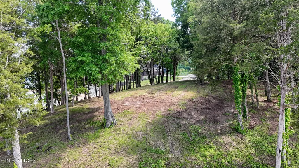 122 Ridge Point Trail Dandridge TN 37725