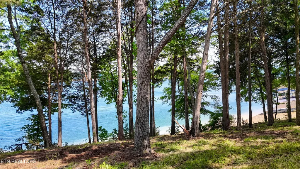 122 Ridge Point Trail Dandridge TN 37725