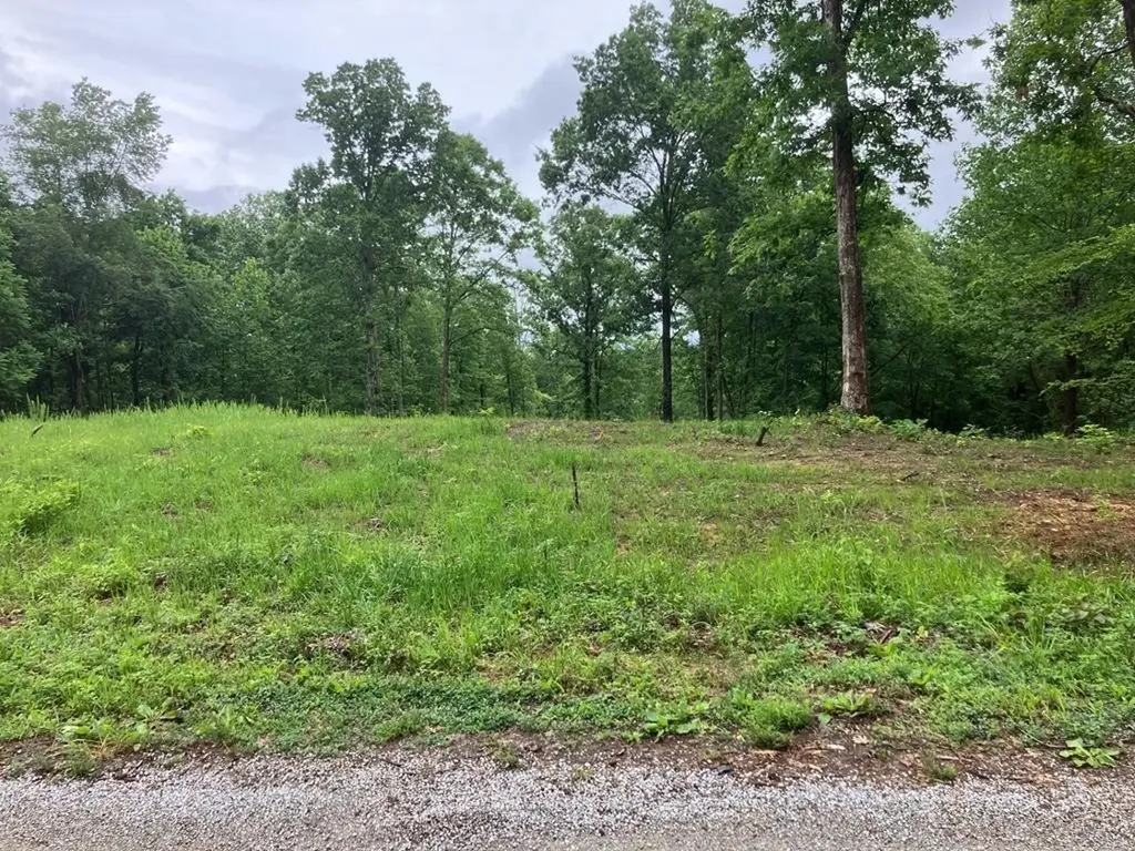 213 Wynn Ferry Road Big Sandy TN 38221