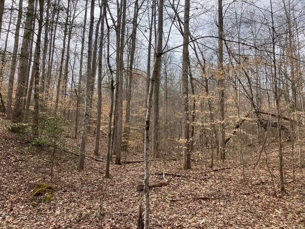 213 Wynn Ferry Road Big Sandy TN 38221